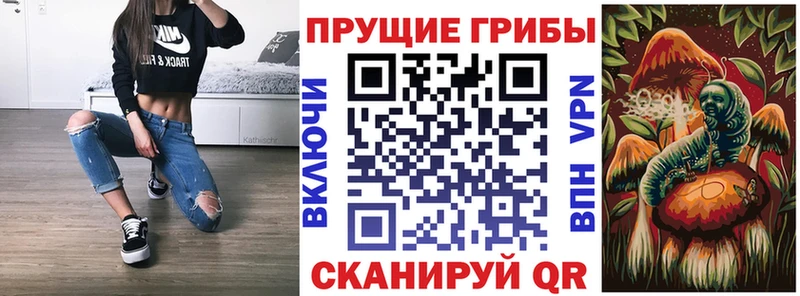 даркнет сайт  маркетплейс формула  Галлюциногенные грибы MAGIC MUSHROOMS  Спас-Клепики 